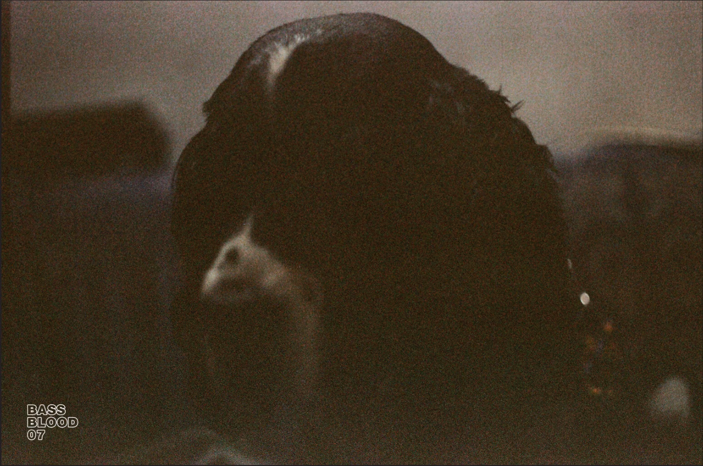 Bass Blood - Image 10