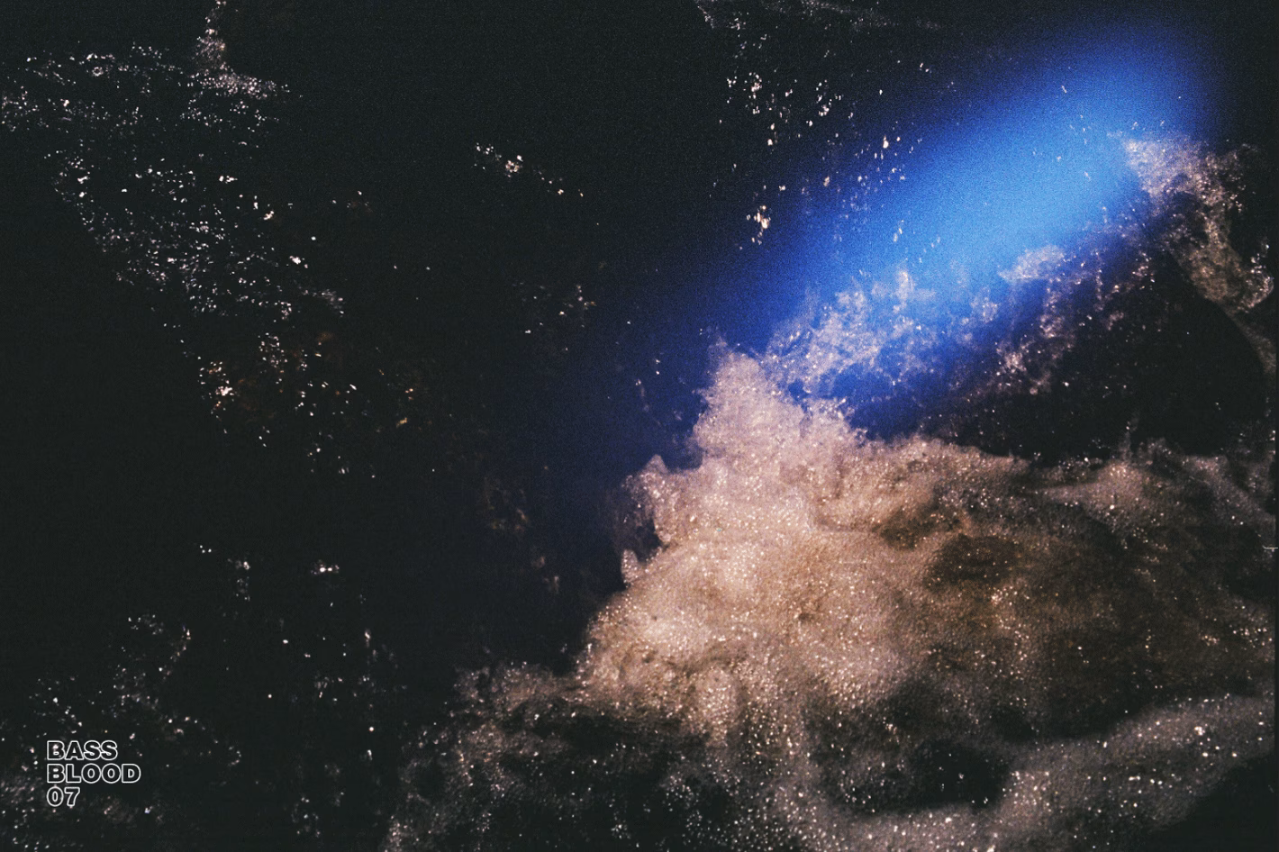 Bass Blood - Image 14