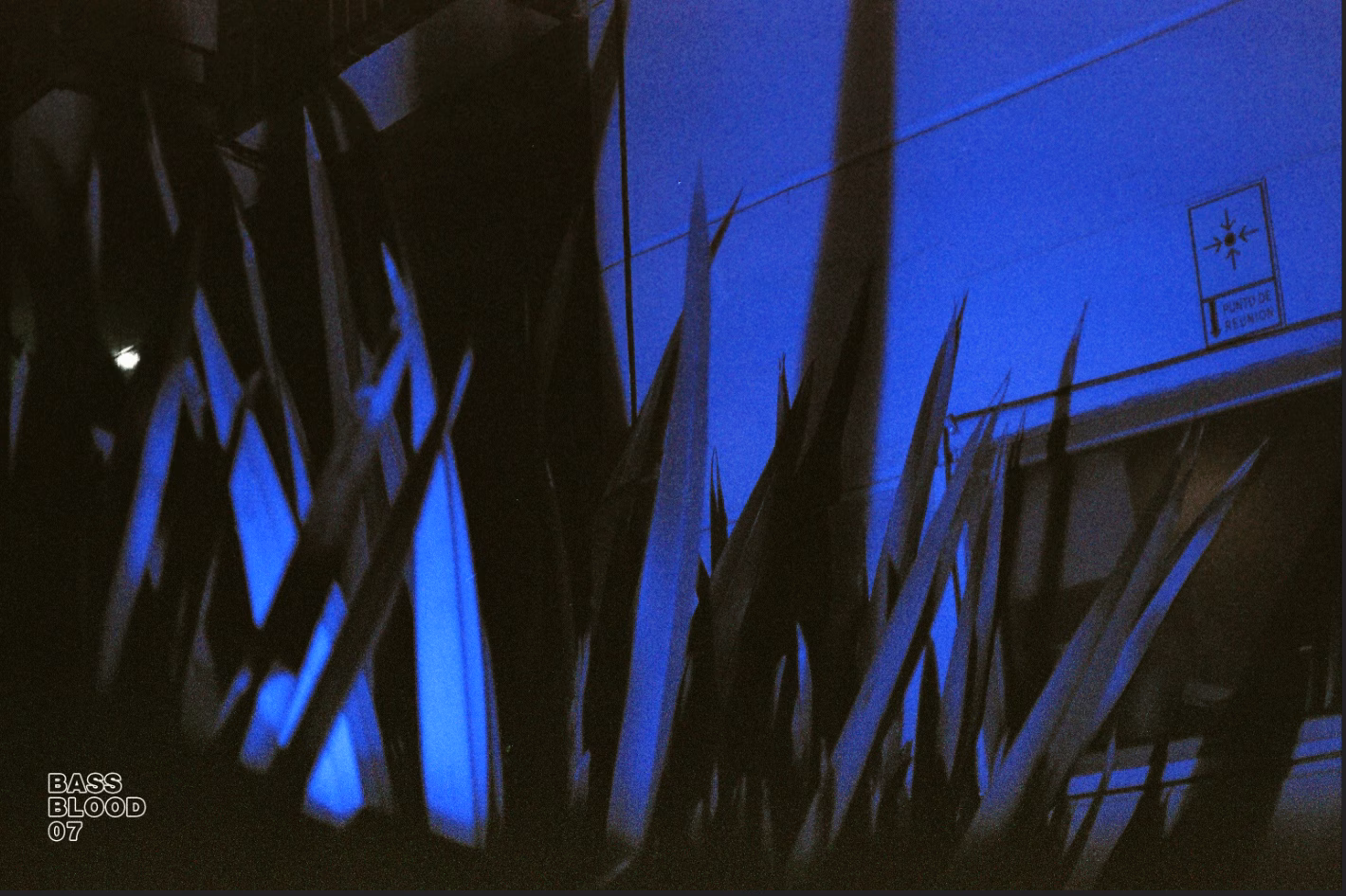 Bass Blood - Image 6