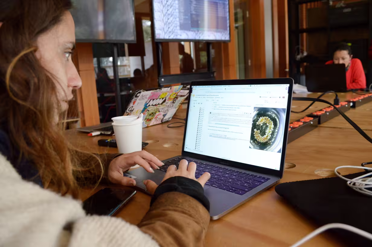 Injertos Tipográficos - Image 12