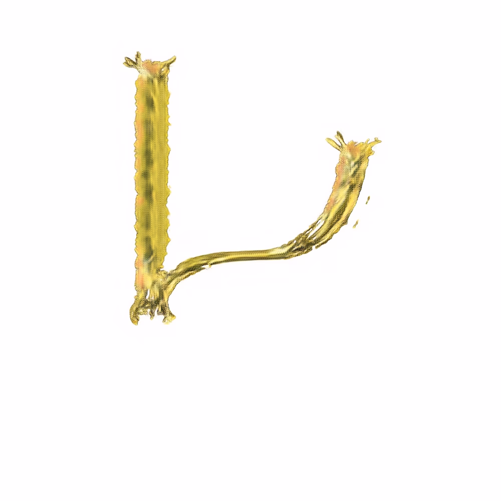 Injertos Tipográficos - Image 14