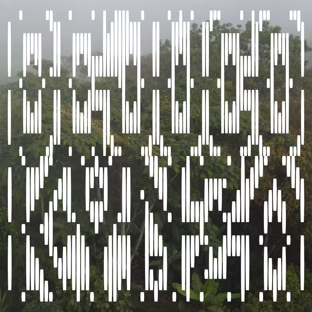Kynza - Image 1