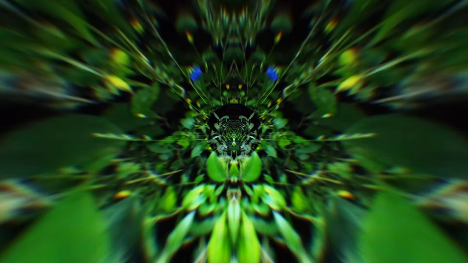 Kynza - Image 4