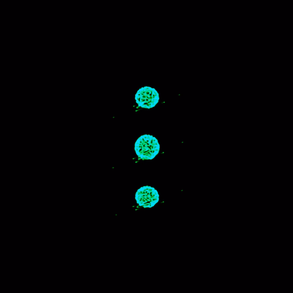 Materia Ondulatoria - Image 13